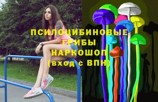 spice Армянск