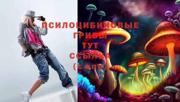 spice Армянск