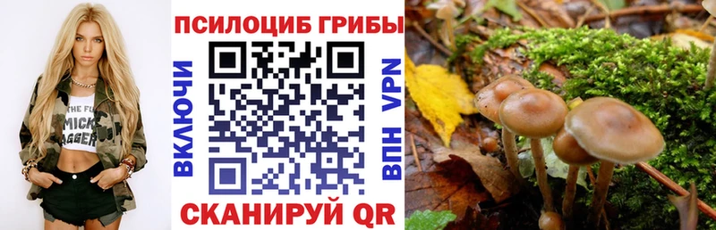Псилоцибиновые грибы Psilocybe  Слюдянка 